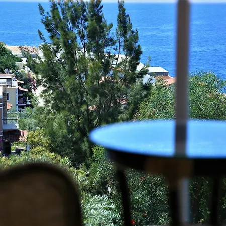 Rimma Kalkan